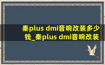 秦plus dmi音响改装多少钱_秦plus dmi音响改装案例